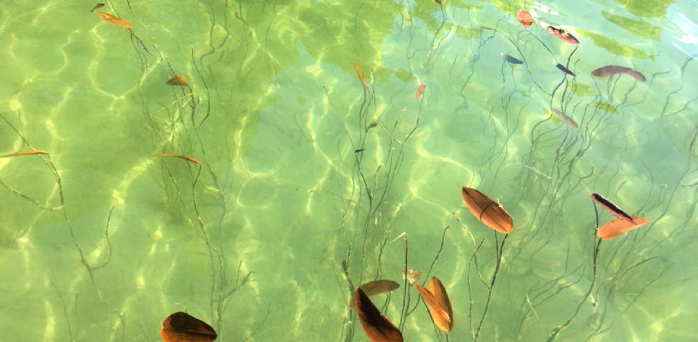 Little McGreggor Lake Montana